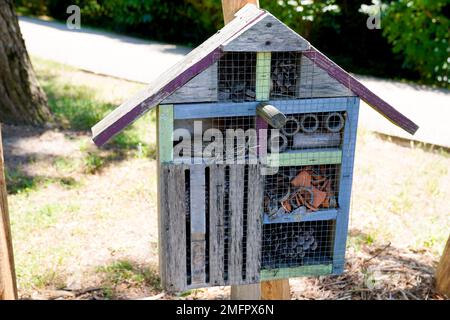 Wooden insect house decorative bug hotel ladybird bee home for house garden to butterfly hibernation and ecological gardening Stock Photo