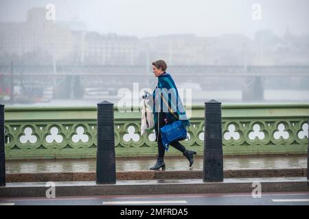 London, UK. 25th Jan, 2023. Mist on Westminster Bridge in the West End Credit: JOHNNY ARMSTEAD/Alamy Live News Stock Photo