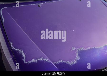 purple car hood with worn blue paint faded by the sun and age Stock Photo