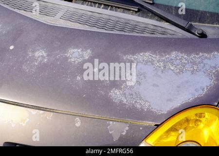 car used peeling grey silver paint on grunge hood of old automobile Stock Photo