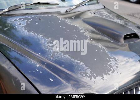 grey car used peeling silver paint on grunge hood of old automobile Stock Photo