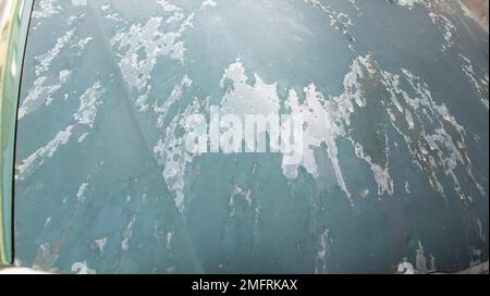 green car bonnet with faded worn paint faded by time the moon the sun and bad weather Stock Photo