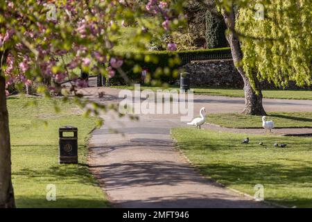 Colchester, Essex, England, UK, Local Area Photography Stock Photo