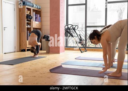 yoga teacher class teaching attendants 4 Stock Photo