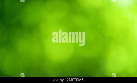 abstract blurred leaves of tree in nature forest with sunny and bokeh light Stock Photo