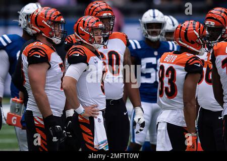 Cincinnati Bengals tackle Jonah Williams (73) and Cincinnati