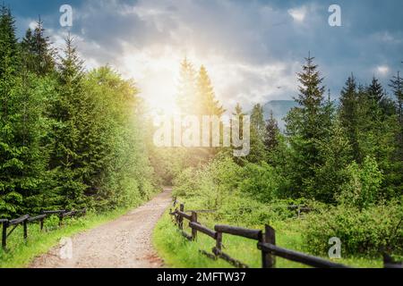 Mountain road on summer landscape, fantastic scenery in springtime, in Carpathian mountains, Ukraine, Europe. Stock Photo