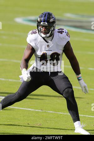 Baltimore Ravens' Matthew Judon (99) during an NFL football game against  the Philadelphia Eagles, Sunday, Oct. 18, 2020, in Philadelphia. The Ravens  defeated the Eagles 30-28. (AP Photo/Rich Schultz Stock Photo - Alamy