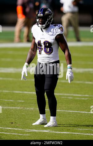 Baltimore Ravens inside linebacker Patrick Queen (48) reacts after scoring  on a 53-yard fumble recovery on a ball dropped by Cincinnati Bengals wide  receiver Mike Thomas, not visible, during the second half