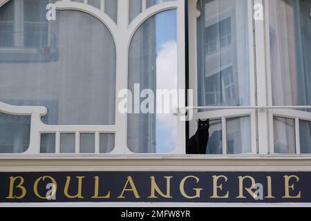 Boulangerie text sign means in french Bakery with black cat Stock Photo