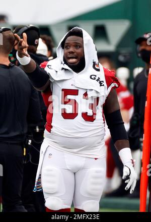 Arizona Cardinals center Lamont Gaillard (53) smiles on the field prior to  an NFL football game