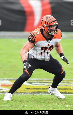 Jonah Williams' 2020 NFL season might be over 