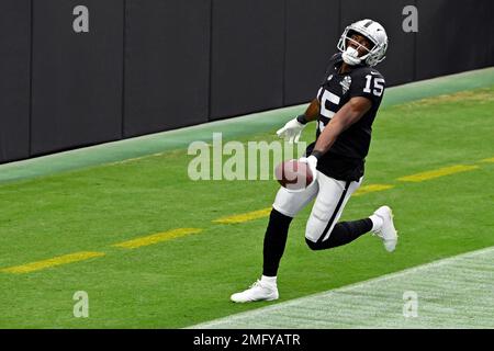 Buffalo Bills wide receiver Steve Johnson reacts after a play during an NFL  football game against the New England Patriots in Orchard Park, N.Y. on  Sunday, Dec. 26, 2010. New England won