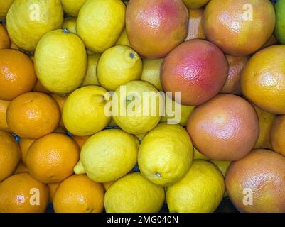 Oranges, lemons and grapefruits - lots of citrus fruits, source of vitamin C, top view. Stock Photo