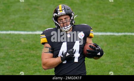 Pittsburgh, Pennsylvania, USA. 8th Jan, 2023. January 8th, 2023 Pittsburgh  Steelers fullback Derek Watt (44) celebrates after scoring a touchdown  during Pittsburgh Steelers vs Cleveland Browns in Pittsburgh, PA. Jake  Mysliwczyk/BMR (Credit