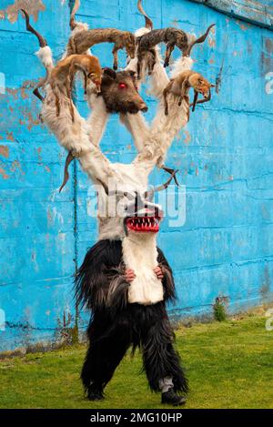 Participant in weird mummers outfit costume with various animals at the annual Simitlia winter Kukeri festival in Simitli, Bulgaria Stock Photo