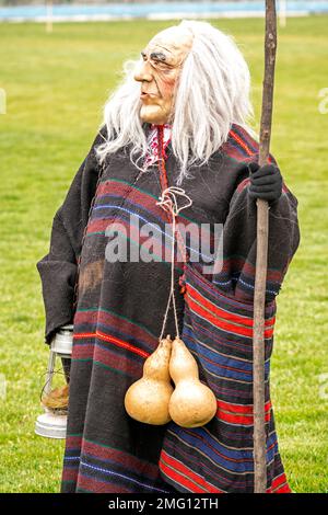 Participant in funny costume as old man at annual Simitlia winter Kukeri festival in Simitli, Blagoevgrad County, Bulgaria, Eastern Europe, Balkans Stock Photo