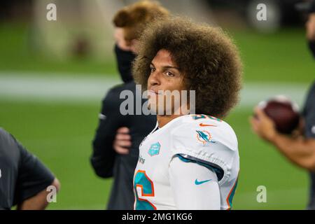 Miami Dolphins wide receiver Mack Hollins (86) during warm ups