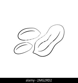 Peanuts in cartoon style. Nut icon for template label, packaging snackand emblem. Vector Stock Vector