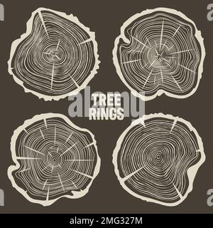 Round tree trunk cuts with cracks, sawn pine or oak slices, lumber. Saw cut timber, wood. Brown wooden texture with tree rings. Hand drawn sketch Stock Vector