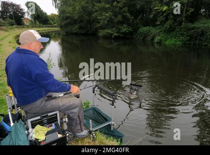 Fisherman landing a catch after a bite, on the Bridgewater Canal, Grappenhall, Warrington, Cheshire, England, UK, WA4 3EL Stock Photo