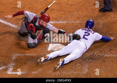 Nico hoerner hi-res stock photography and images - Page 2 - Alamy