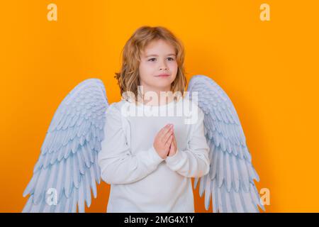 Angel prayer kids. Angel child. Isolated studio shot. Cute kid with angel wings. Cupid, valentines day concept. Stock Photo