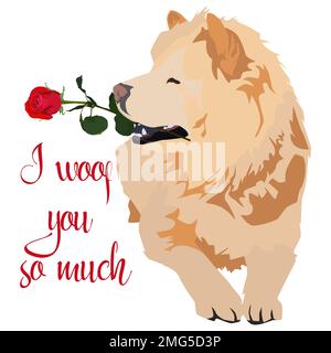 Cute Chow chow pet dog with rose flower for Valentines Day greeting card, vector Stock Vector