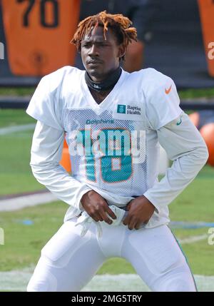 Joel Auerbach at Miami Dolphin Camp