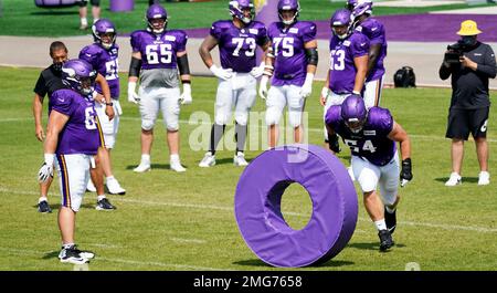 Minnesota Vikings offensive tackle Blake Brandel (64) blocks during the  second half of an NFL football game against the Arizona Cardinals, Sunday,  Oct. 30, 2022, in Minneapolis. (AP Photo/Abbie Parr Stock Photo - Alamy