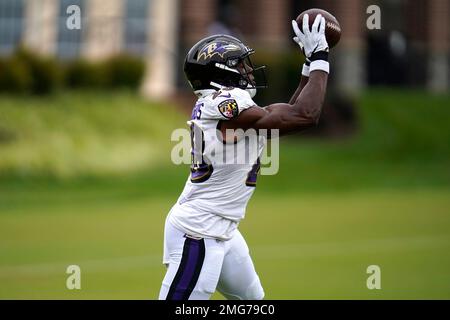 Baltimore Ravens free safety Jordan Richards (28) in action during the  third quarter of an NFL