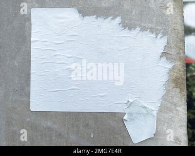 A warn and weathered blank wall poster is peeling off a concrete wall Stock Photo