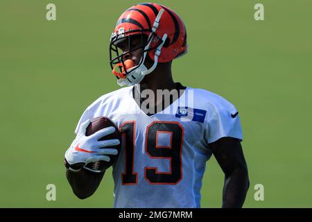 Cincinnati Bengals wide receiver Auden Tate (19) is brought down on the  carry during an NFL football game against the Jacksonville Jaguars,  Thursday, Sept. 30, 2021, in Cincinnati. (AP Photo/Emilee Chinn Stock