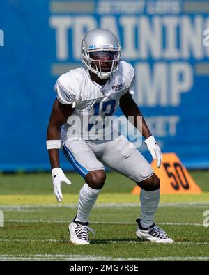 Buffalo Bills safety Damar Hamlin (31) in action against the Detroit Lions  during an NFL preseason football game, Friday, Aug. 13, 2021, in Detroit.  (AP Photo/Rick Osentoski Stock Photo - Alamy