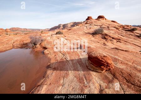 One needs a permit to hike to The Wave in the Paria Canyon/Vermillion Cliffs Wilderness in Utah and Arizona. Stock Photo