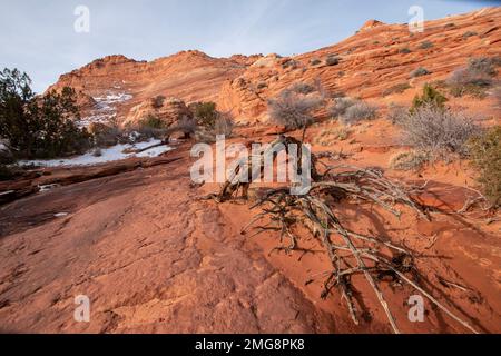 One needs a permit to hike to The Wave in the Paria Canyon/Vermillion Cliffs Wilderness in Utah and Arizona. Stock Photo