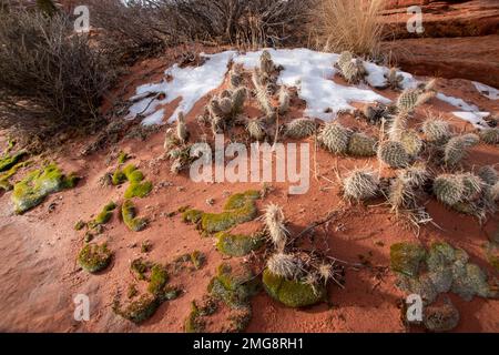 One needs a permit to hike to The Wave in the Paria Canyon/Vermillion Cliffs Wilderness in Utah and Arizona. Stock Photo