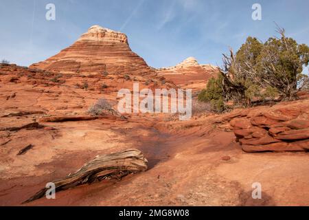 One needs a permit to hike to The Wave in the Paria Canyon/Vermillion Cliffs Wilderness in Utah and Arizona. Stock Photo