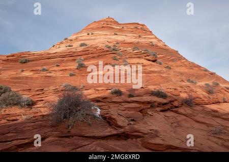 One needs a permit to hike to The Wave in the Paria Canyon/Vermillion Cliffs Wilderness in Utah and Arizona. Stock Photo