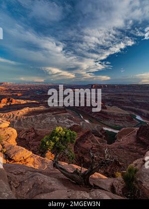 The Colorado River cuts through Dead Horse Point State Park in San Juan County, Utah Stock Photo