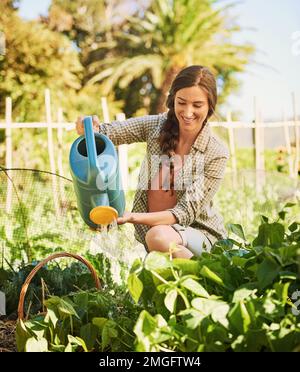 Giving her crops a drink. a happy young farmer watering herbs with a watering can on her farm. Stock Photo