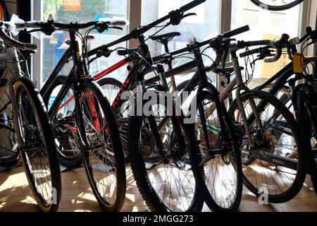 leyton bike shop