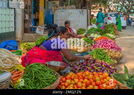 Puttaparthi, Andra Pradesh - India - January 21.2023: A women selling baby eggplants on the local Indian market Stock Photo