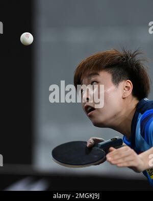 Doha, Qatar. 26th Jan, 2023. Zhang Rui of China serves during the women's singles semifinal match against her compatriot He Zhuojia at WTT Feeder Doha 2023 in Doha, Qatar, Jan. 26, 2023. Credit: Nikku/Xinhua/Alamy Live News Stock Photo