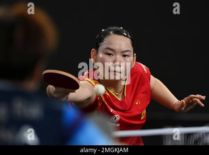 Doha, Qatar. 26th Jan, 2023. He Zhuojia of China competes during the women's singles semifinal match against her compatriot Zhang Rui at WTT Feeder Doha 2023 in Doha, Qatar, Jan. 26, 2023. Credit: Nikku/Xinhua/Alamy Live News Stock Photo