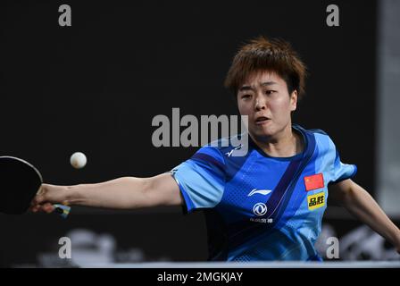 Doha, Qatar. 26th Jan, 2023. Zhang Rui of China competes during the women's singles semifinal match against her compatriot He Zhuojia at WTT Feeder Doha 2023 in Doha, Qatar, Jan. 26, 2023. Credit: Nikku/Xinhua/Alamy Live News Stock Photo