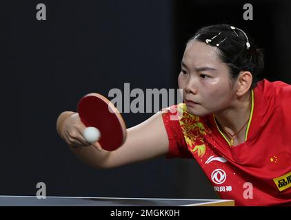 Doha, Qatar. 26th Jan, 2023. He Zhuojia of China competes during the women's singles semifinal match against her compatriot Zhang Rui at WTT Feeder Doha 2023 in Doha, Qatar, Jan. 26, 2023. Credit: Nikku/Xinhua/Alamy Live News Stock Photo