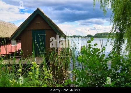 Fishing lodge on the lake near Krakow on the lake. Inland fishing. Vine roof on the house. Vacation resort in Germany. Landscape photo from nature Stock Photo