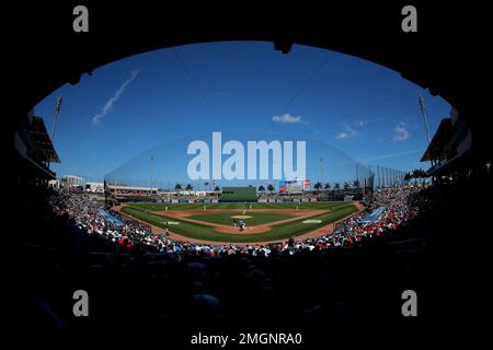 A crowd watches the fifth inning of a baseball game between the Baltimore  Orioles and the Cincinnati Reds during Pride Night, Wednesday, June 28, 2023,  in Baltimore. (AP Photo/Julio Cortez Stock Photo 