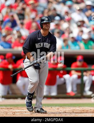 CLEVELAND, OH - APRIL 25: Mike Ford (36) of the New York Yankees celebrates  with Rougned Odor (18) after hitting a solo home run to right field in the  Stock Photo - Alamy